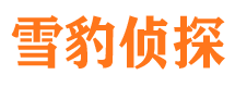 泰安市私家侦探